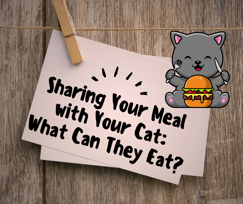 Sharing Your Meal with Your Cat: What Can They Eat?