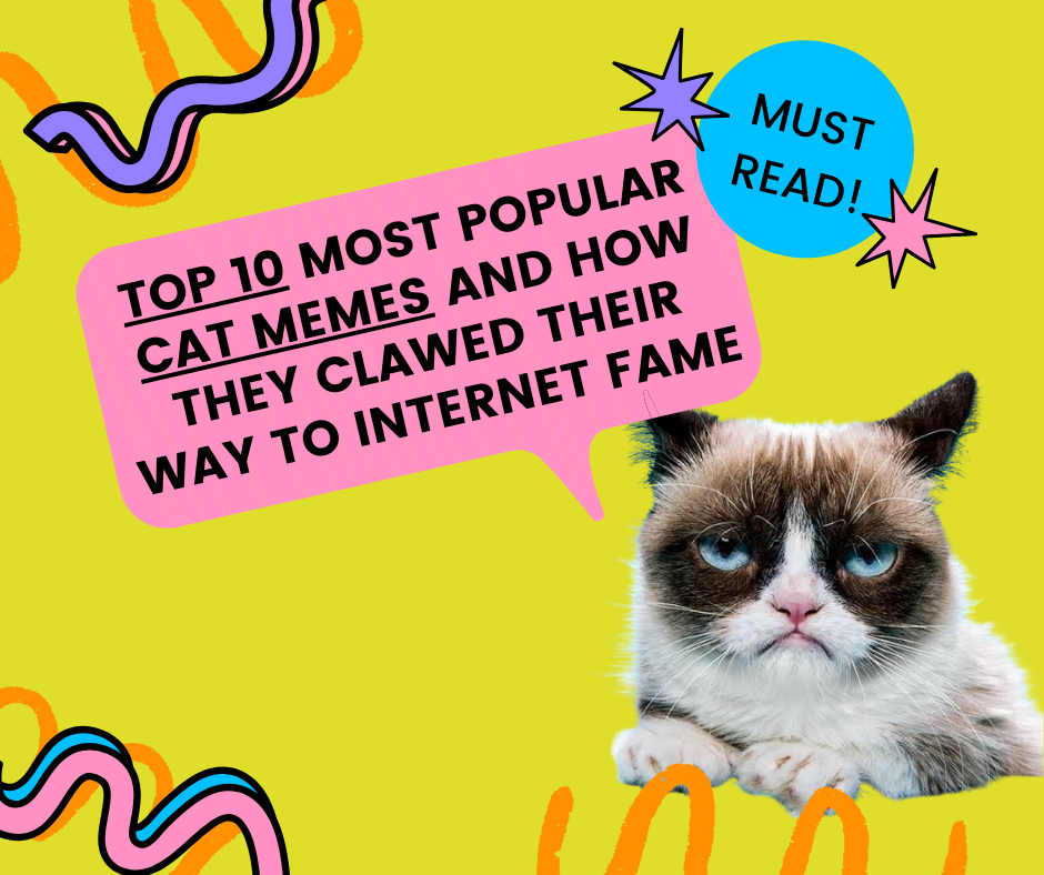 Top 10 Most Popular Cat Memes and How They Clawed Their Way to Internet Fame