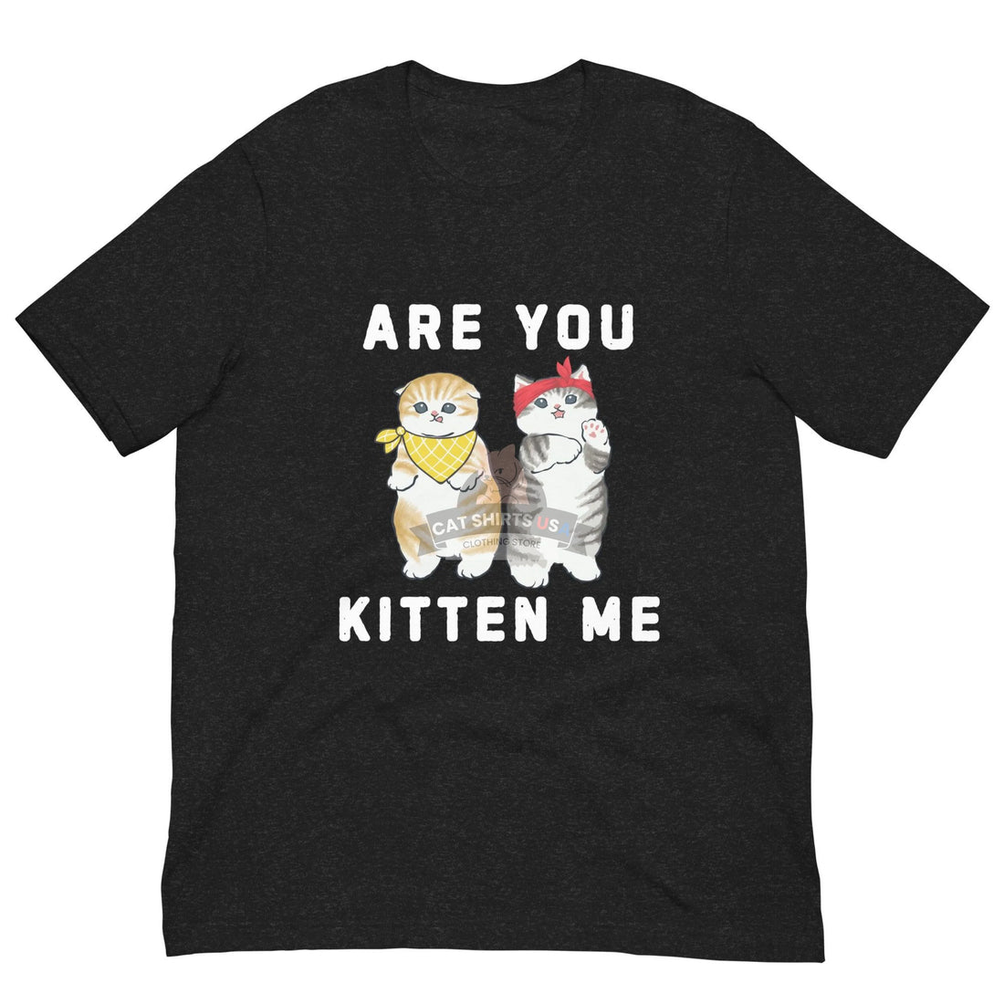 Are You Kitten Me Cat Shirt - Cat Shirts USA