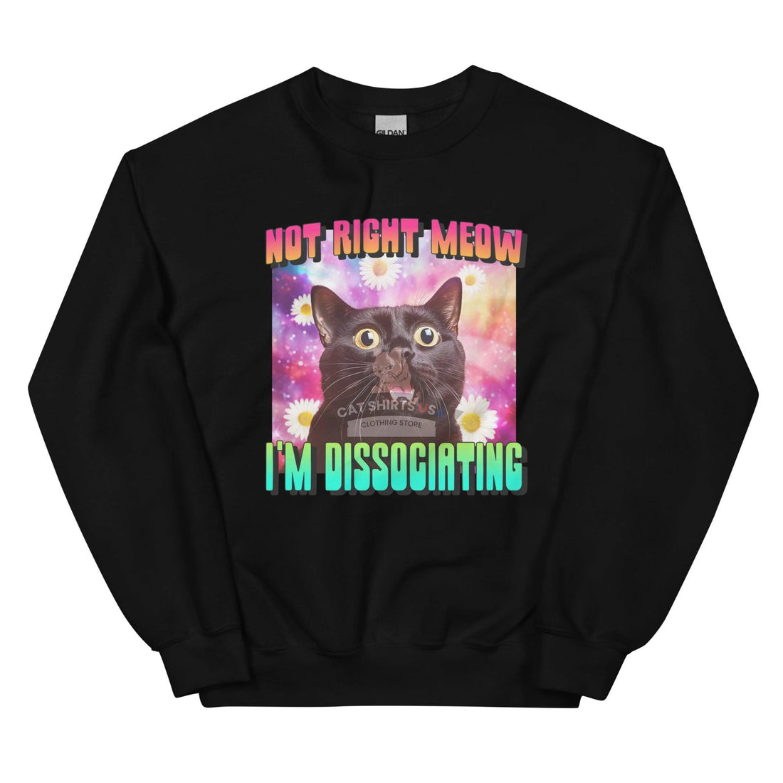 I'm Dissociating Cat Sweatshirt - Cat Shirts USA