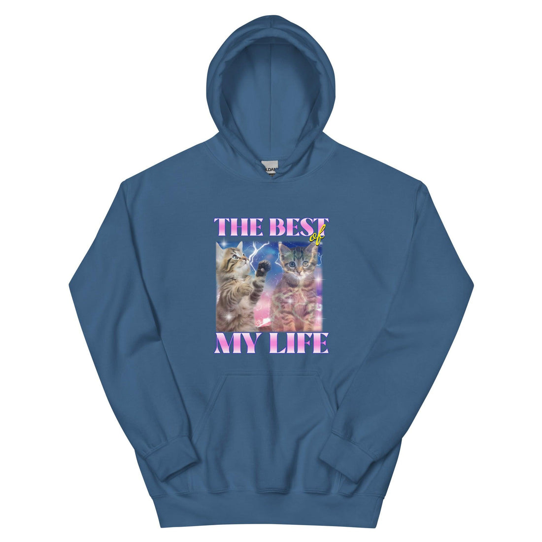 Best of my Life Cat Hoodie - Cat Shirts USA